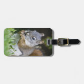 Canada, Brits Columbia, rode eekhoornpijn Bagagelabel (Voorkant horizontaal)