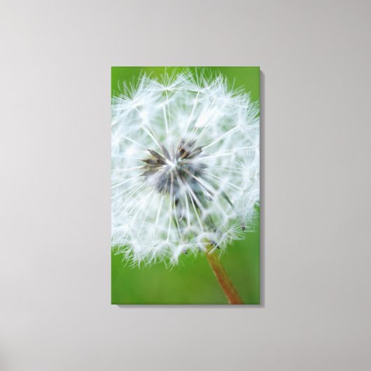 Canada, Brits-Columbia, Vancouver-eiland 4 Canvas Afdruk (Voorkant)