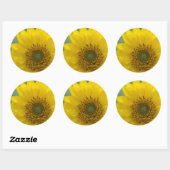 Canada, Brits-Columbia, Vancouver-eiland 7 Ronde Sticker (Vel)