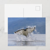 Canada, Brits-Columbia, Vancouver-eiland, Briefkaart (Voorkant / Achterkant)