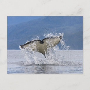 Canada, Brits-Columbia, Vancouver-eiland, Briefkaart