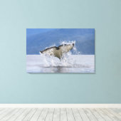Canada, Brits-Columbia, Vancouver-eiland, Canvas Afdruk (Insitu (Houten vloer))
