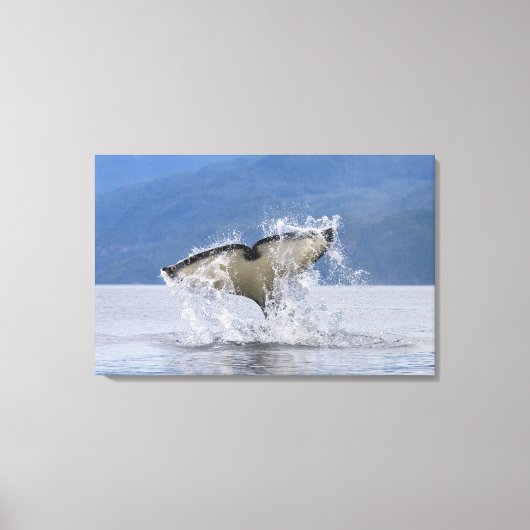 Canada, Brits-Columbia, Vancouver-eiland, Canvas Afdruk (Voorkant)