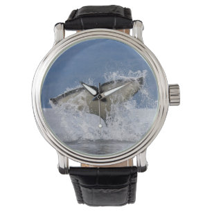 Canada, Brits-Columbia, Vancouver-eiland, Horloge
