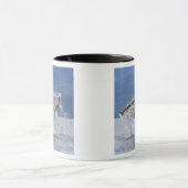 Canada, Brits-Columbia, Vancouver-eiland, Mok (Midden)