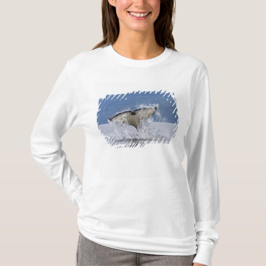 Canada, Brits-Columbia, Vancouver-eiland, T-shirt (Voorkant)