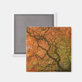 CANADA, Brits-Columbia, Victoria. Herfst 2 Magneet (Voorkant / Achterkant)