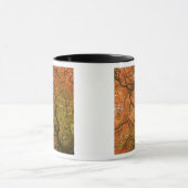 CANADA, Brits-Columbia, Victoria. Herfst 2 Mok (Midden)