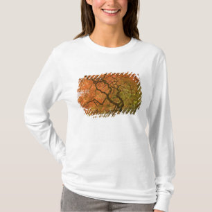 CANADA, Brits-Columbia, Victoria. Herfst 2 T-shirt