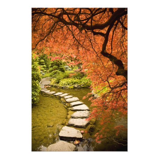 CANADA, Brits-Columbia, Victoria. Herfst Foto Afdruk (Voorkant)