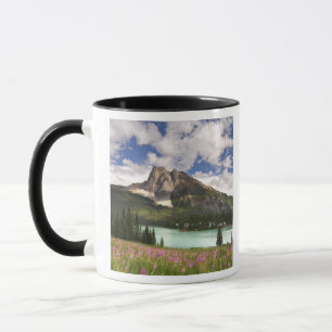 Canada, Brits-Columbia, Yoho Nationaal Park. 3 Mok