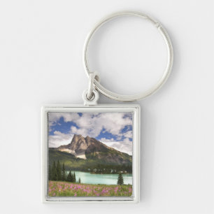 Canada, Brits-Columbia, Yoho Nationaal Park. 3 Sleutelhanger