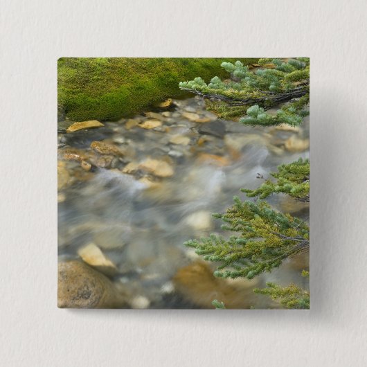 Canada, Brits-Columbia, Yoho National Park. 4 Vierkante Button 5,1 Cm (Voorkant)