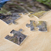 Canada: Brits-Columbia, Yoho NP, Stellers gaai, Legpuzzel (Zijkant)