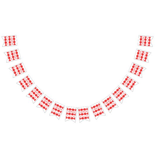 Canada Dag 1 juli 1867 Maple Leaf Canadian Flag Vlaggetjes (Alle)