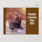 Canada Day Beaver Briefkaart (Voorkant)