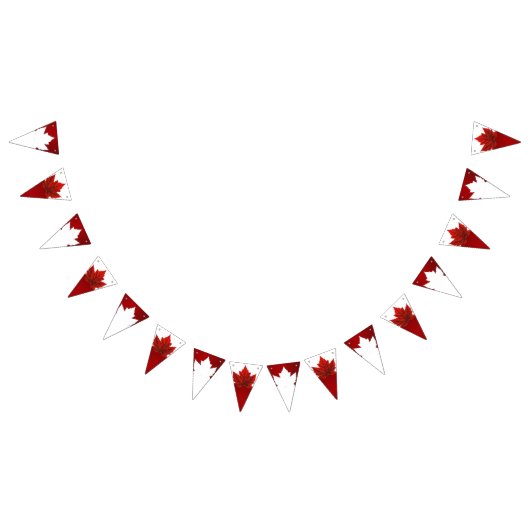 Canada Day Bunting Banners Canada Decoraties (Alle)