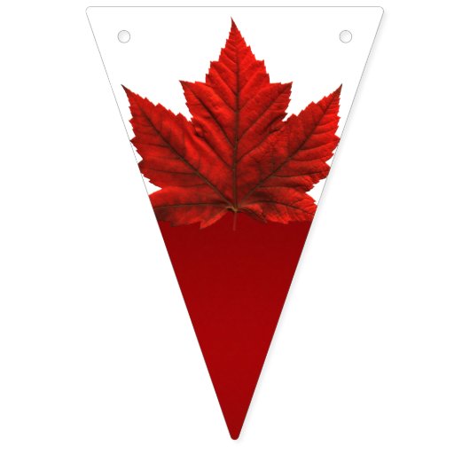 Canada Day Bunting Banners Canada Decoraties (Tweede vlag)