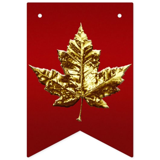 Canada Day Bunting Banners Canada Team Decoraties (Eerste vlag)