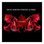 CANADA DOUBLE DRAGONS PERFECT POSTER (Voorkant)