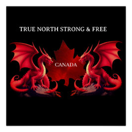 CANADA DUBBELE DRACHEN PERFECT POSTER