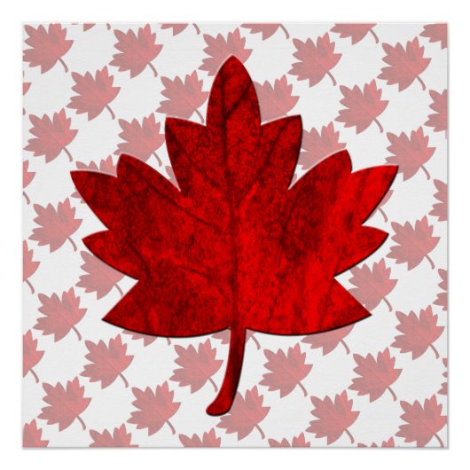 Canada-esdoorn Blad Perfect Poster (Voorkant)