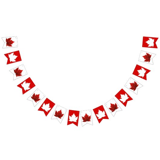 Canada Flag Bunting Banners Canada Souvenir (Alle)