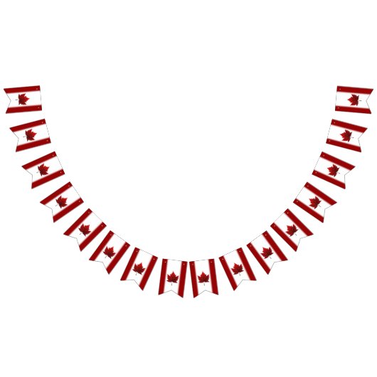 Canada Flag Bunting Banners Canada Souvenir (Alle)