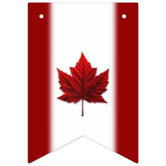Canada Flag Bunting Banners Canada Souvenir (Tweede vlag)