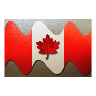 Canada Flag-Chrome door Shirley Taylor Foto Afdruk