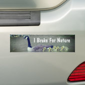 Canada Gans Babys Ik Rem Voor De Natuur Bumpersticker (Op auto)