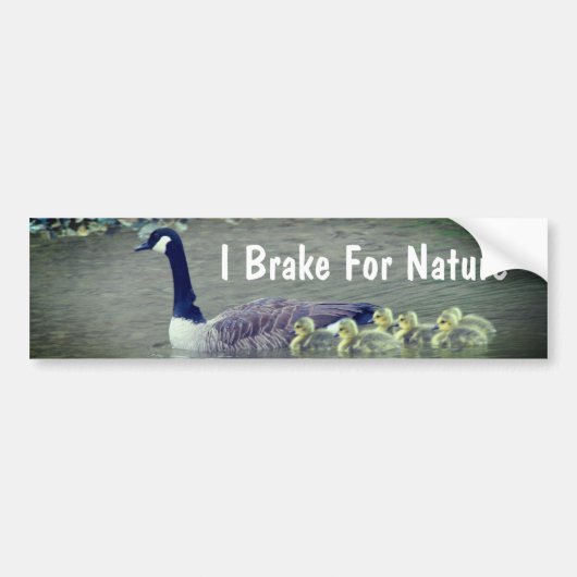Canada Gans Babys Ik Rem Voor De Natuur Bumpersticker (Voorkant)