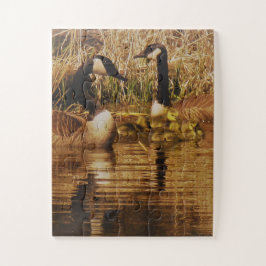 Canada Gans Familie Cute Babies Kuikens Ganzen Legpuzzel