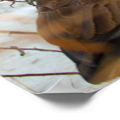 Canada Gans in Sneeuw Poster (Hoek)