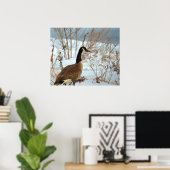 Canada Gans in Sneeuw Poster (Thuiskantoor)