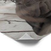 Canada Gans in Sneeuw Poster (Hoek)