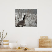Canada Gans in Sneeuw Poster (Keuken)