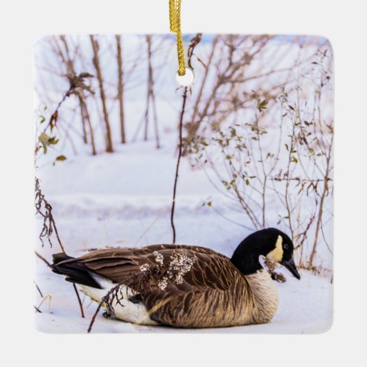 Canada-gans in sneeuwornament keramisch ornament (Voorkant)