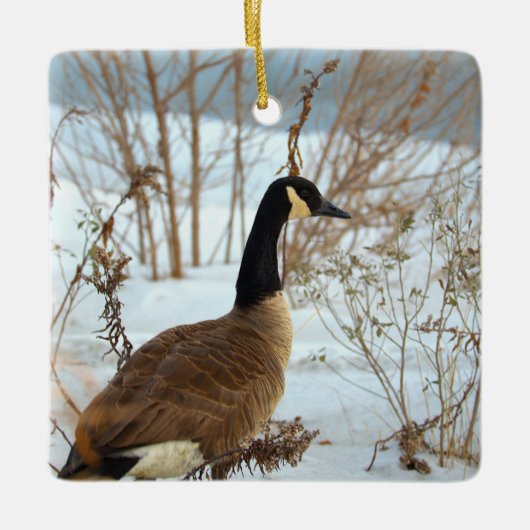 Canada-gans in sneeuwornament keramisch ornament (Voorkant)