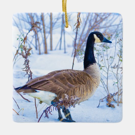 Canada-gans in sneeuwornament keramisch ornament (Voorkant)