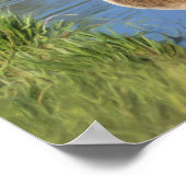 Canada gans in waterolieverf poster (Hoek)