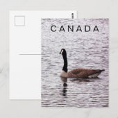 Canada Gans op Lake Briefkaart (Voorkant / Achterkant)
