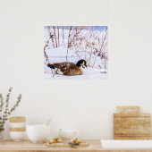 Canada Gans Poster in Sneeuw (Keuken)