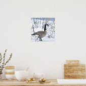 Canada Gans Poster in Sneeuw (Keuken)