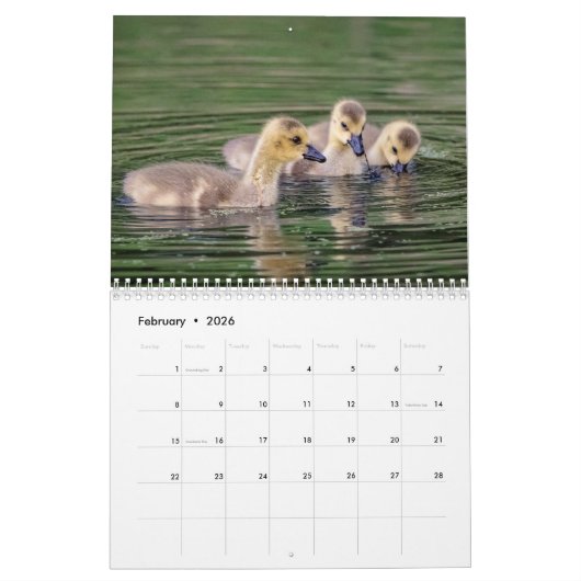 Canada Ganzen 2026 Kalender (Feb 2026)