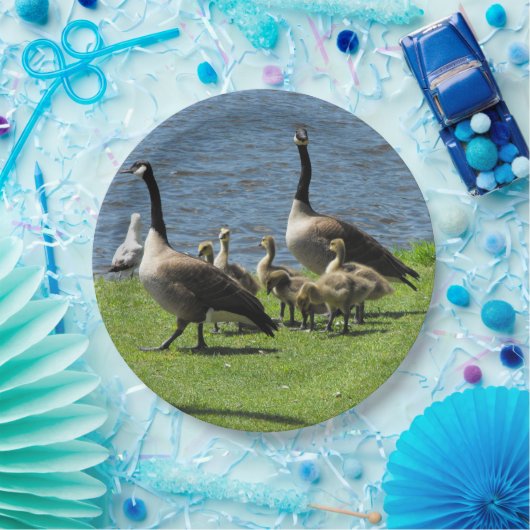 Canada ganzen op de gras door het Bord waterpapier (Feest)