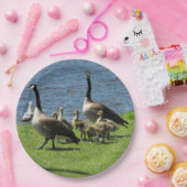 Canada ganzen op de gras door het Bord waterpapier (Feest)