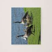 Canada ganzen op de gras door het water legpuzzel (Verticaal)