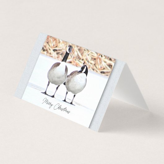 Canada Ganzen Twee - Blank Kaart (Voorkant)