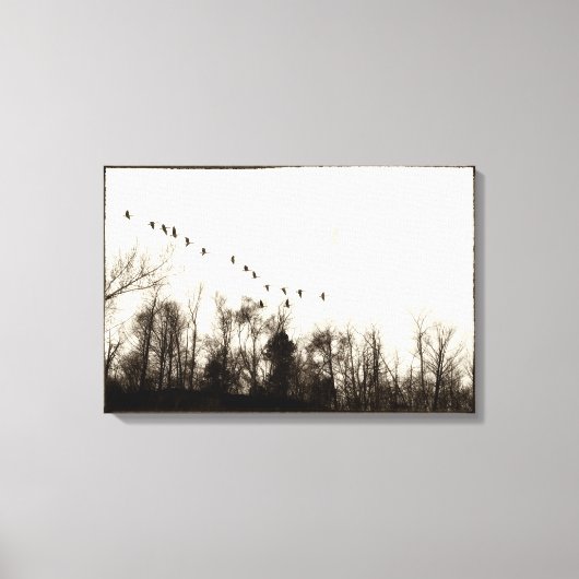 Canada Ganzen vliegen over boomlijn warm monochroo Canvas Afdruk (Voorkant)